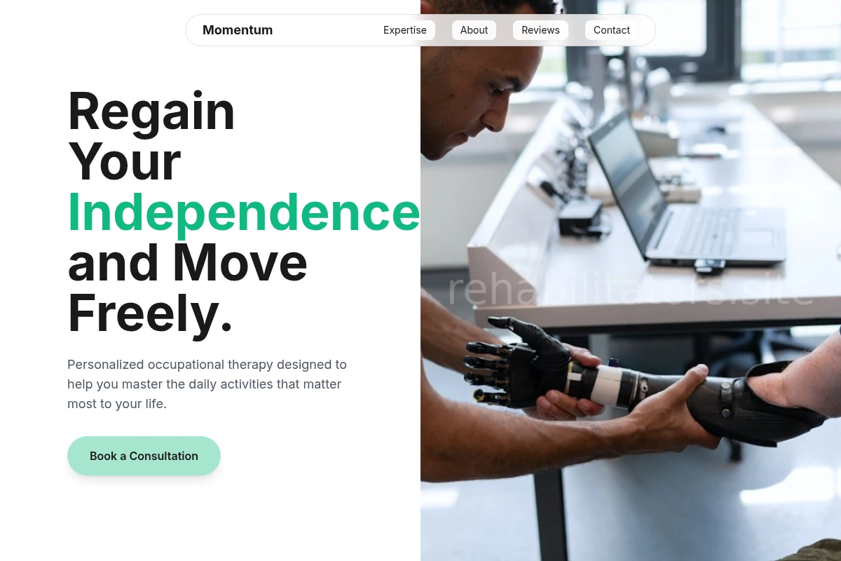 Momentum Occupational Therapy